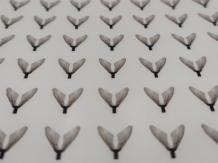 images/categorieimages/1720963706392.jpg