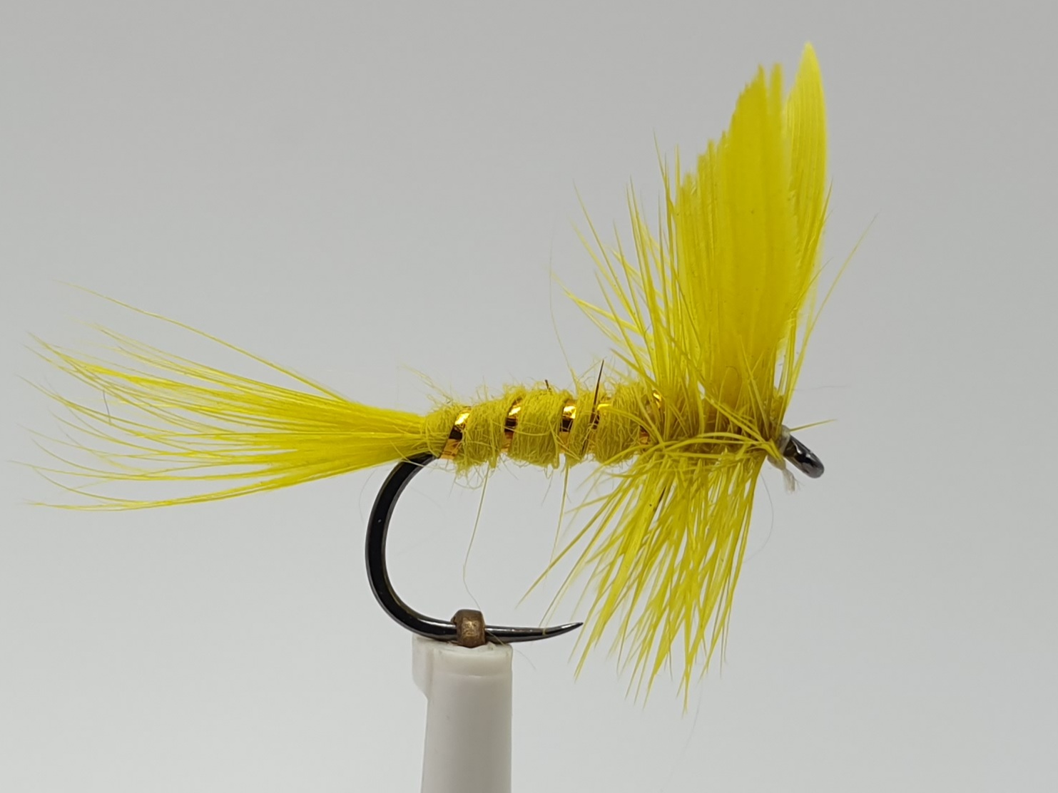 Size 16 Yellow Sally Barbless