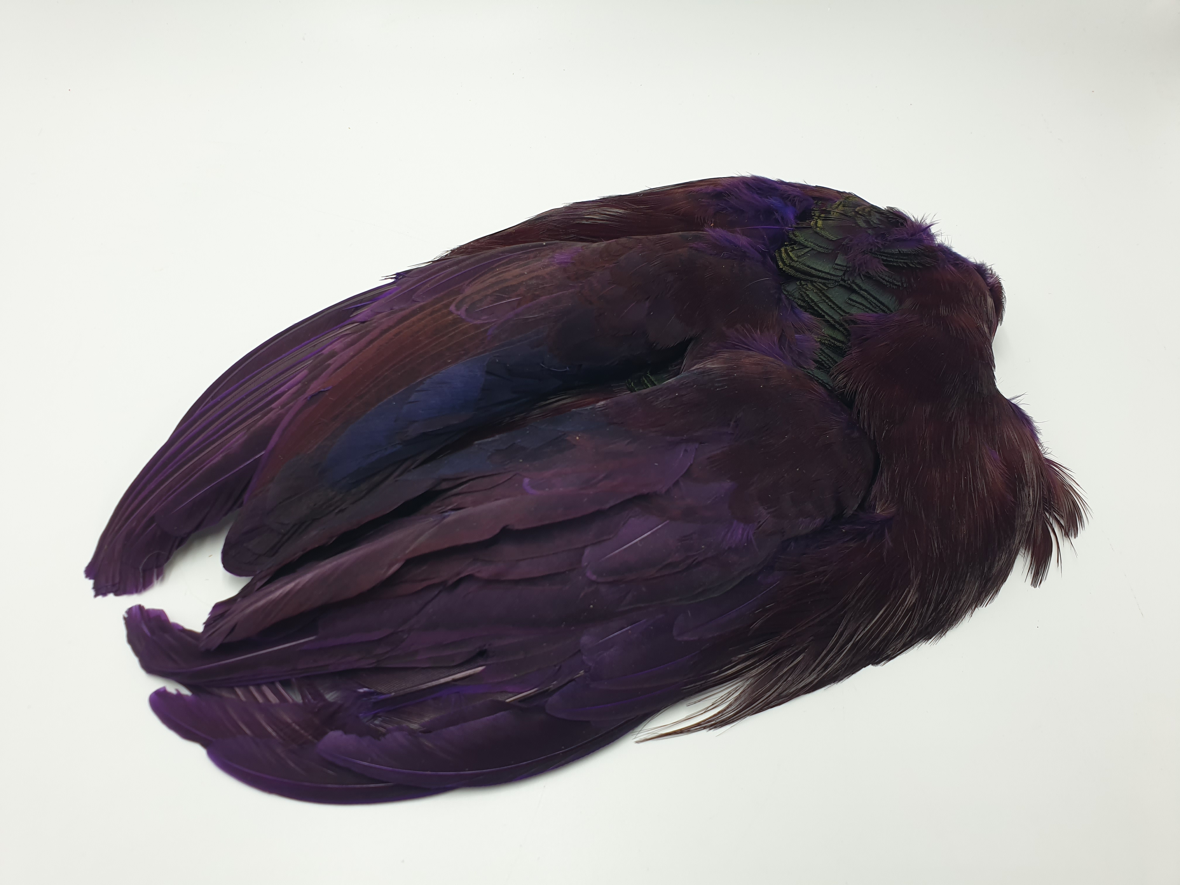 Veniard Golden Pheasant Body Skin Purple