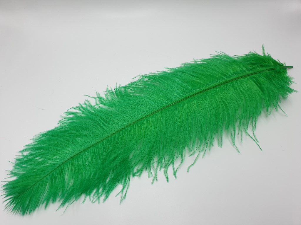 Ostrich Feather Large Green