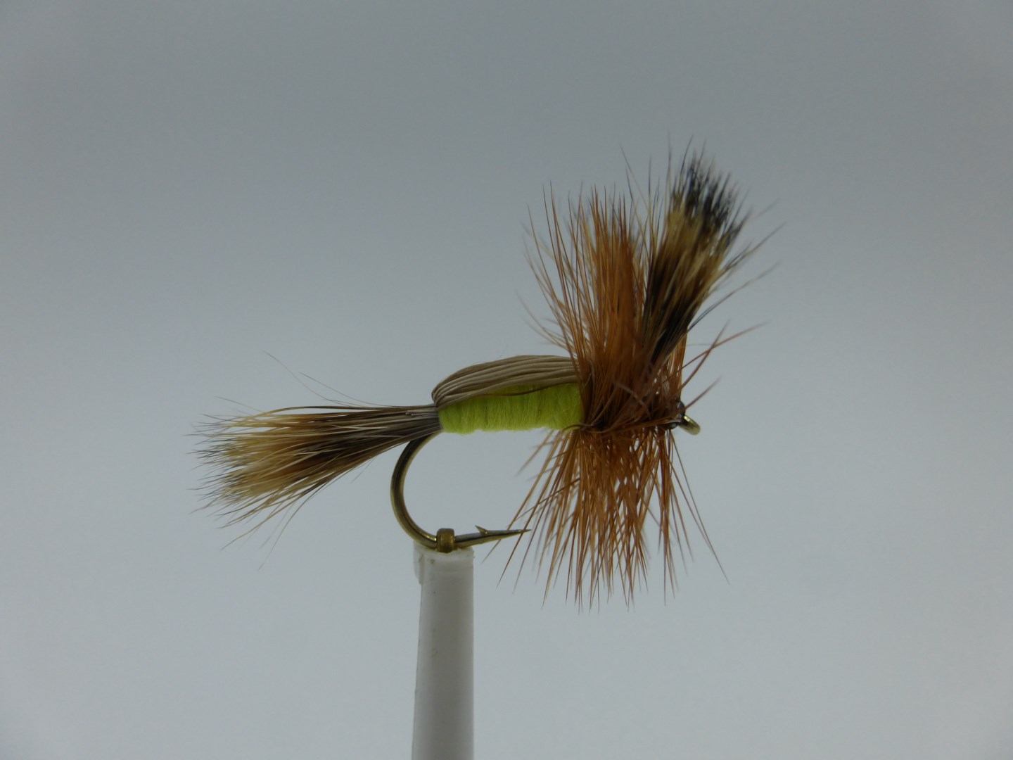 Size 12 Humphy - Chartreuse