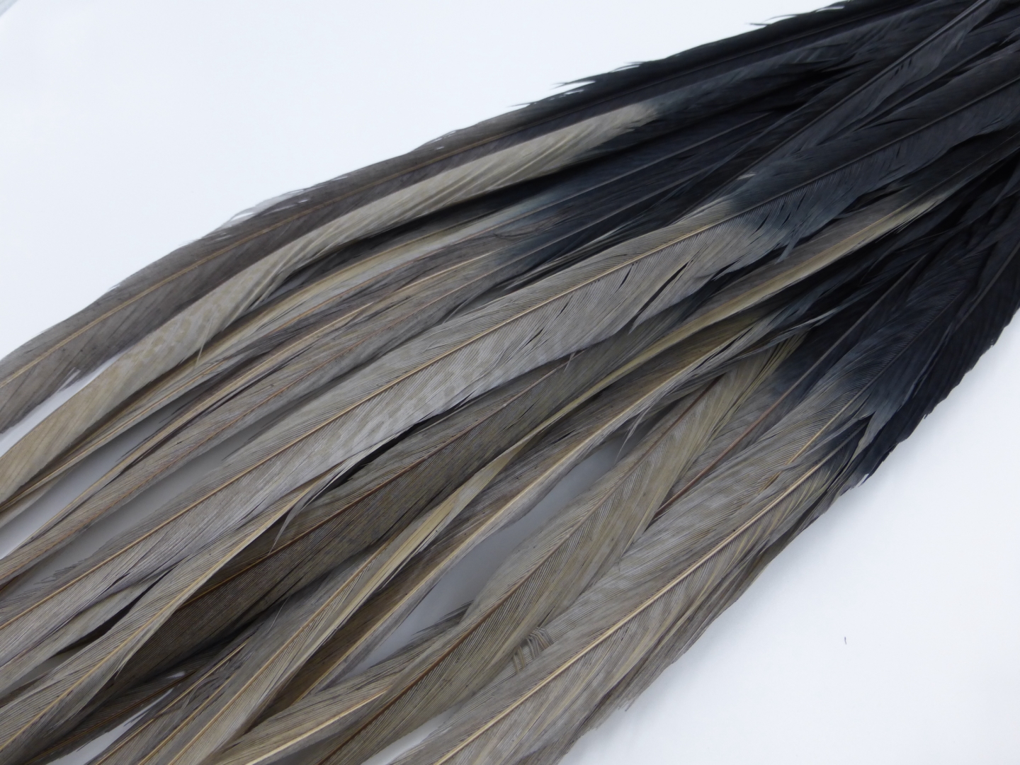 Pheasant Tail Blue Dun 70-75 cm