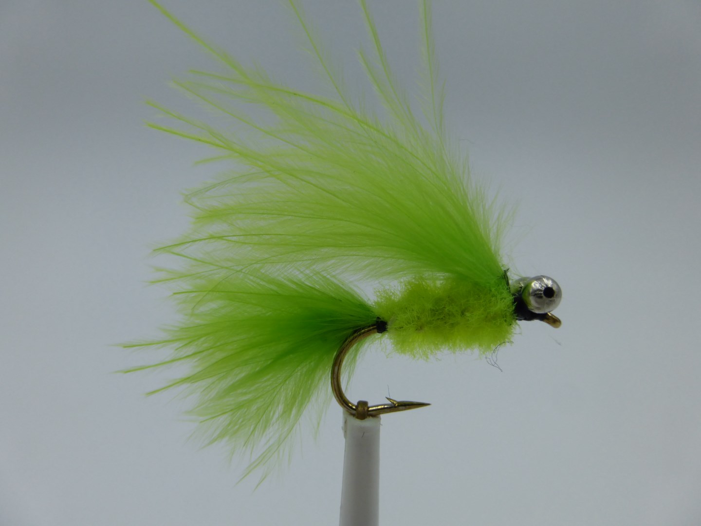 Size 10 Cats Whisker Chartreuse