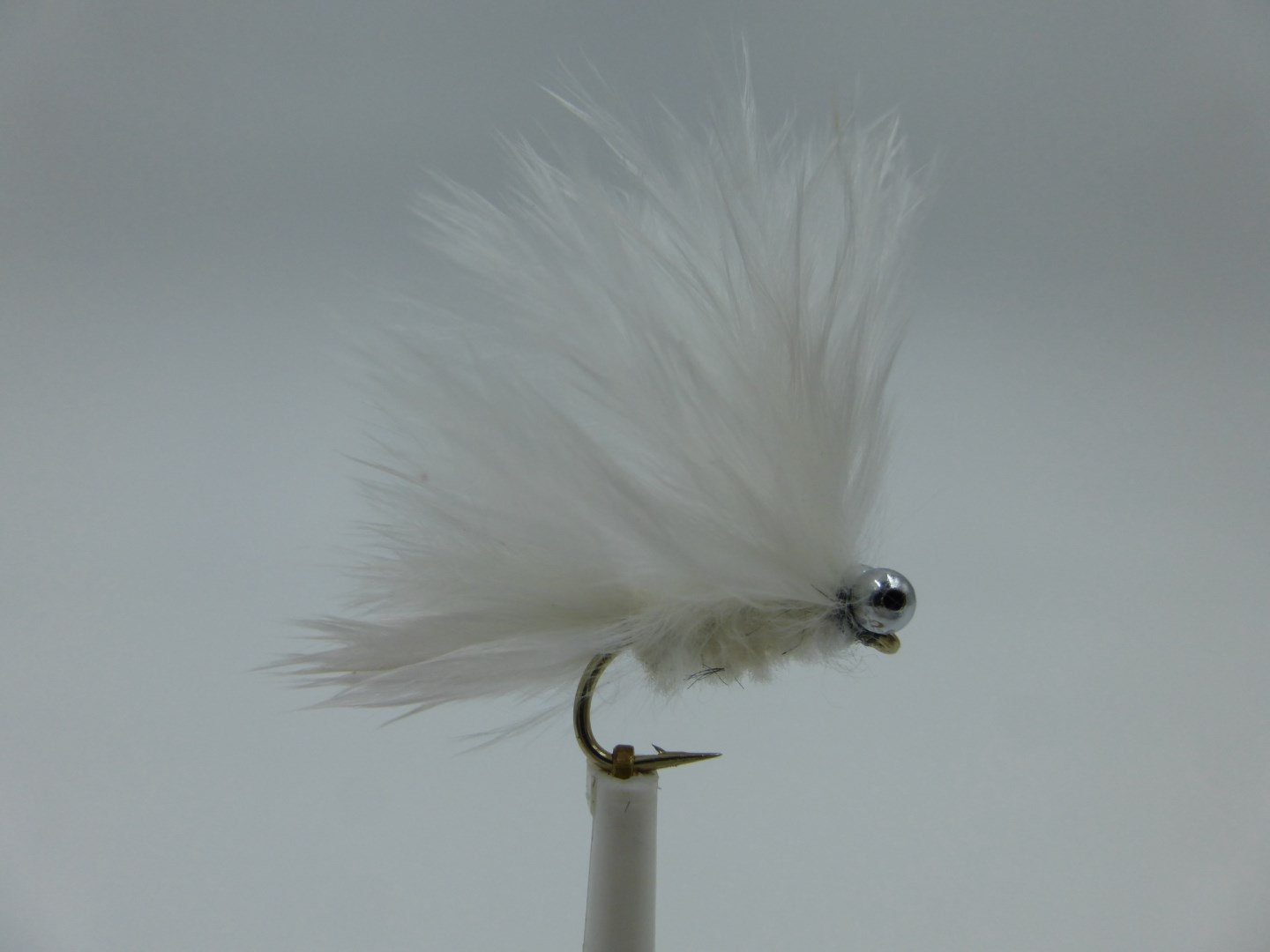 Size 12 Cats Whisker White