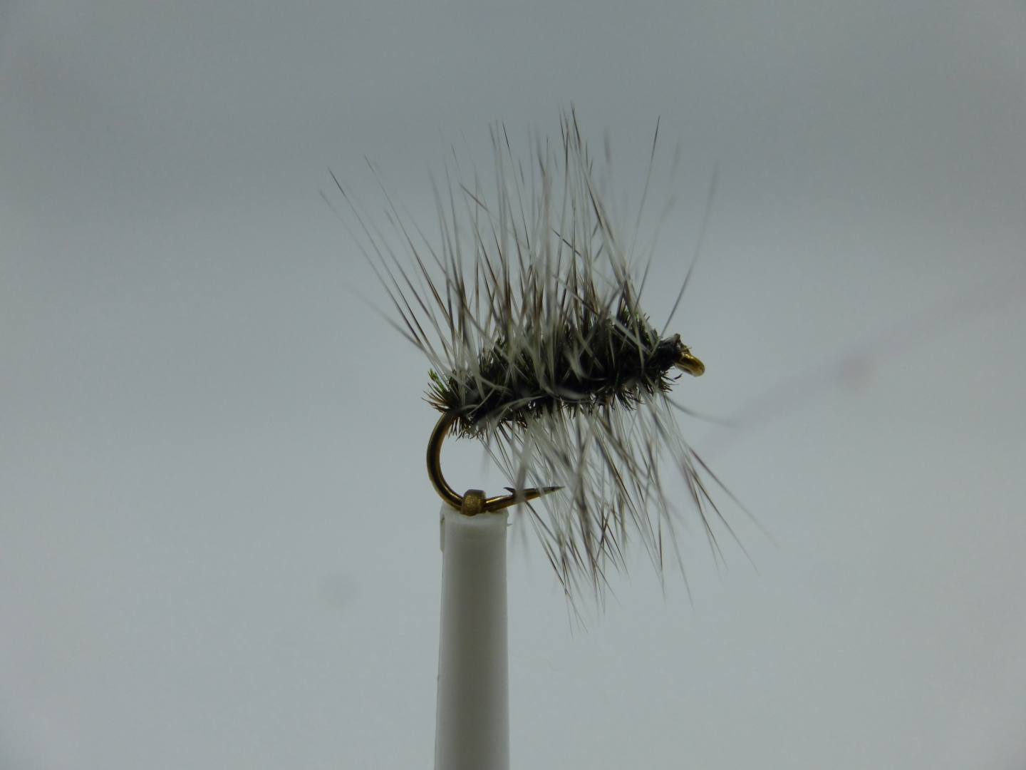 Size 14 Black Griffith Barbless