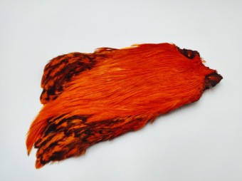 Cock Cape Orange