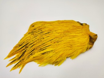 Cock Cape Yellow