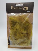 BSF JUMBO CDC - Golden Olive