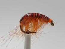 Size 8 Tangeloppe Orange UV