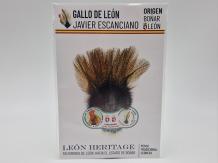 Coq de Leon Pardo Bronze Riñón Back - Burnt Orange Light