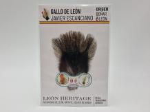 Coq de Leon Pardo Bronze Riñón Back - Corzuna Dark