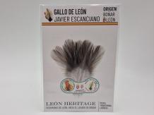 Coq de Leon Indio Bronze Riñón Back - Steely Medium ( Blue ,Gray & Dun )