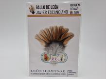 Coq de Leon Indio Bronze Riñón Back - Ginger Light