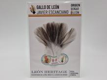 Coq de Leon Indio Bronze Short Saddle - Steely Medium