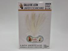 Coq de Leon Indio Silver Short Saddle - White