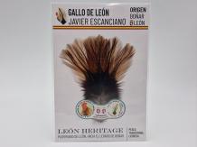 Coq de Leon Pardo Bronze Short Saddle - Brown Medium