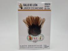 Coq de Leon Pardo Bronze Riñón Back - Brown Light