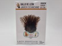 Coq de Leon Pardo Bronze Riñón Back - Brown Dark