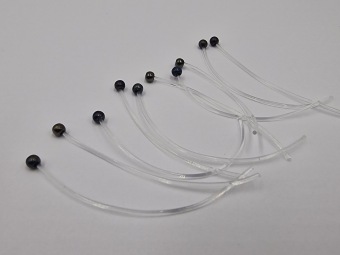 Shrimp/Crab Eyes XLong Black Elastic