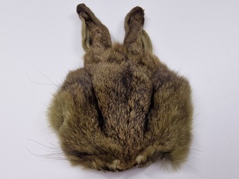 A&M Hare's Mask Olive