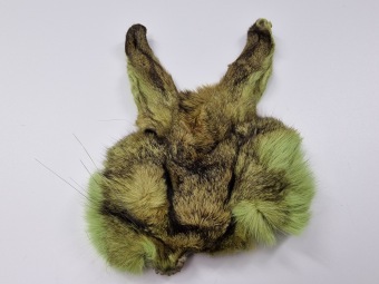 A&M Hare's Mask Chartreuse