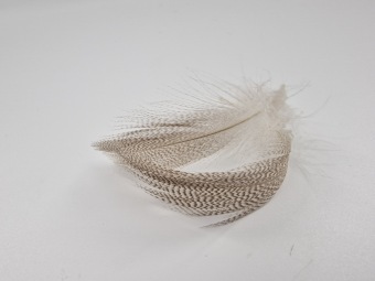 Mallard Flank Feathers White Natural