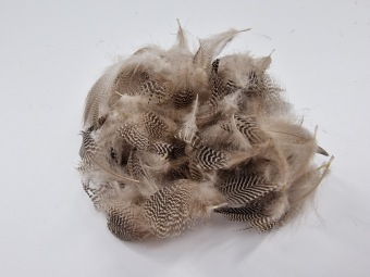 Mallard Flank Feathers Natural