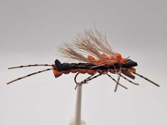 Size 8 Tarantula Black Orange
