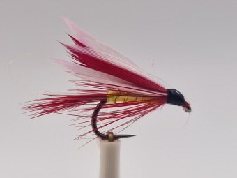 Size 12 Parmachenne Belle Wet Barbess