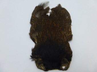 Hen Cape Brown 3