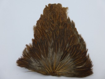 Hen Cape Brown 5