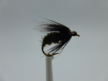 images/productimages/small/black-peacock-spider-amfishingtackle-new-10918-015-kopieren-.jpg