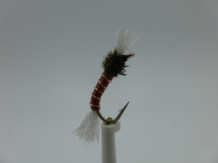 Size 16 Buzzer Brown