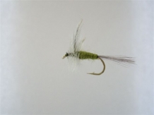 images/productimages/small/bwo.jpg