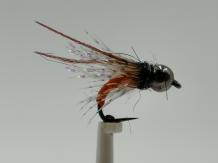 Size 18 Tungsten Late October Caddis Barbless  