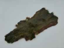 Squirrel /Eekhoorn Complete Skin