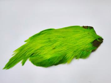 Cock Cape Chartreuse