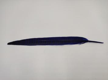 Pheasant Tail Purple 25 cm