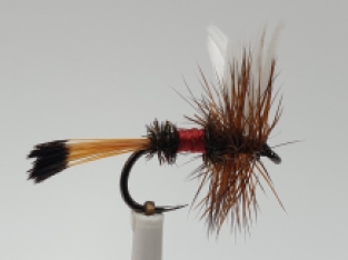 Size 14 Royal Coachman Dry Barbless