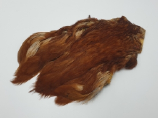 Hen Cape Brown