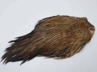Cock Cape Badger