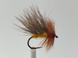 Size 10 Yellow Late October Caddis Barbless
