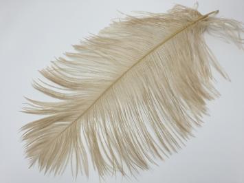 Ostrich Feather Large Tan