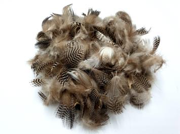 Mallard Flank Feathers Small 3 Gram