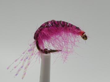 Size 8 Tangeloppe Pink UV
