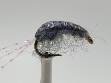 Size 8 Tangeloppe Gray UV