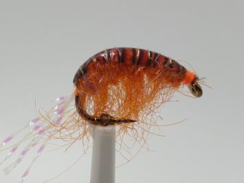 Size 8 Tangeloppe Orange UV