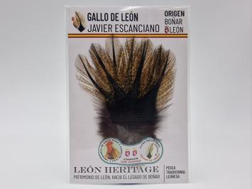 Coq de Leon Pardo Silver Short Saddle - Golden Medium