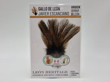 Coq de Leon Pardo Silver Short Saddle - Golden Dark