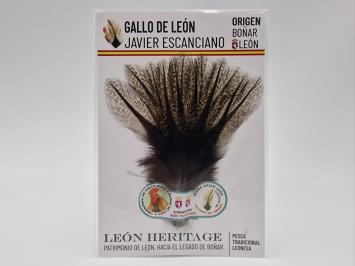 Coq de Leon Pardo Silver Short Saddle - Corzuno Medium